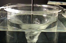 Experiment in a 20-gallon tank demonstrating the source of plant problems